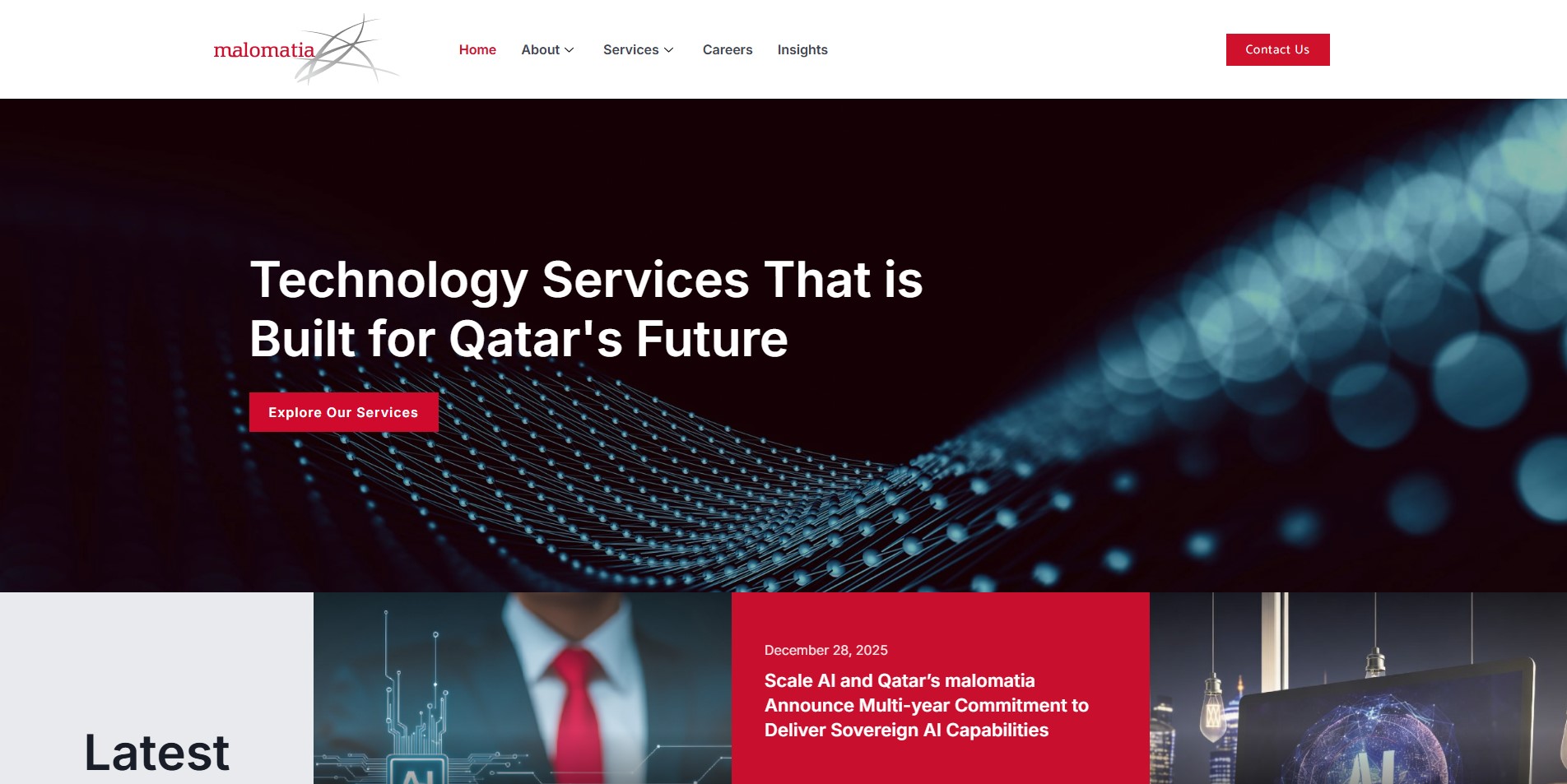 Enterprise web project